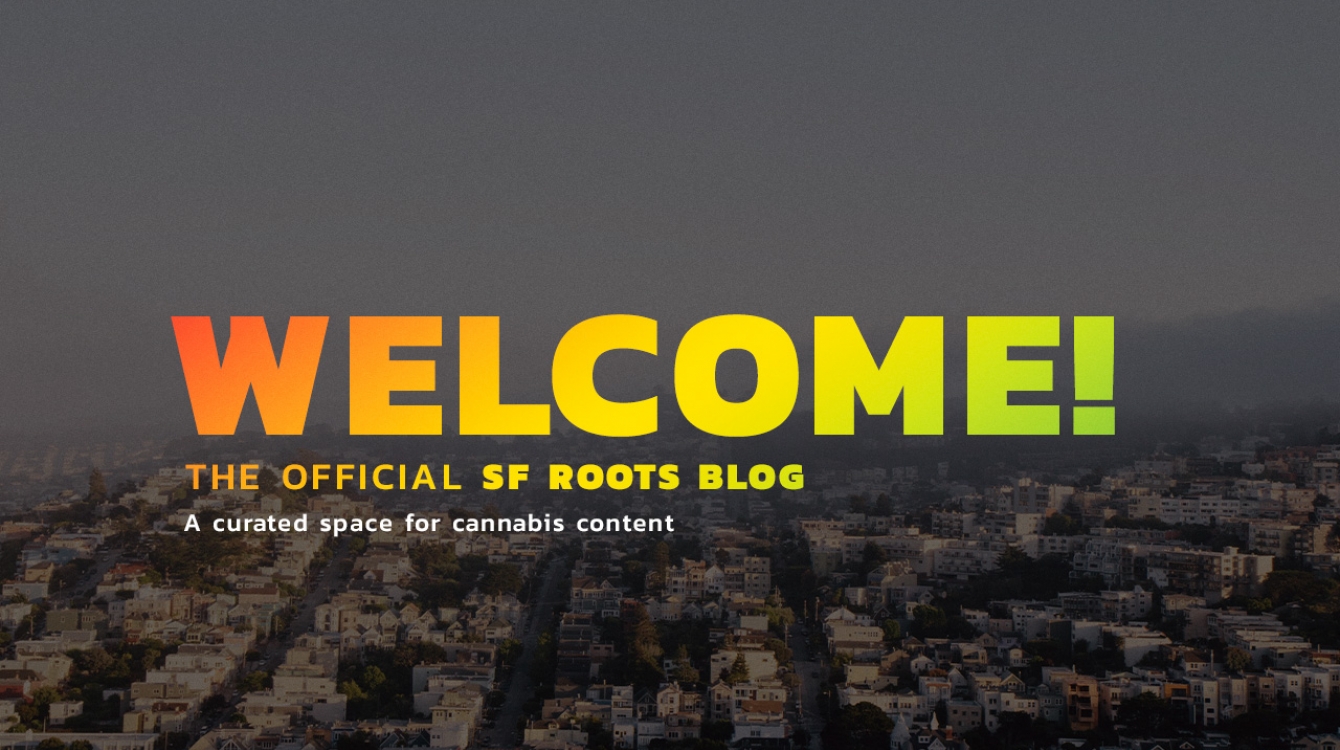 Blog Image - Welcome to the official SF Roots Blog